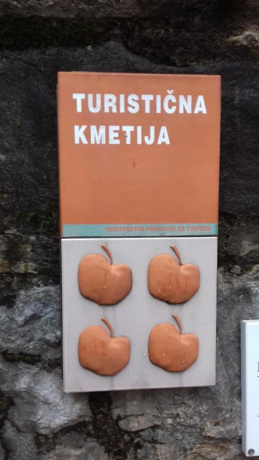 Apartmaji Pri Zivcovih Dutovlje エクステリア 写真